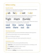 The Thunderstorm: My Letters and Sounds Phase Four Phonics Reader Notes & Guidance
