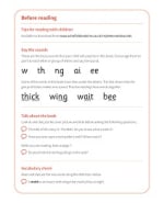 The Web: My Letters and Sounds Phase Three Phonics Reader Notes & Guidance