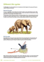 Key Stage 2 Science Revision Guide Inner Page