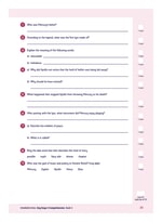 KS2 Comprehension 3: Year 5, Ages 9-10 Inner Page