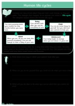 Understanding Science: Our Bodies Inner Page