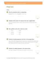 Grammar and Punctuation Book 5 Teacher's Guide Notes & Guidance