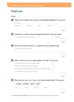 Grammar and Punctuation Book 6 Teacher's Guide Notes & Guidance