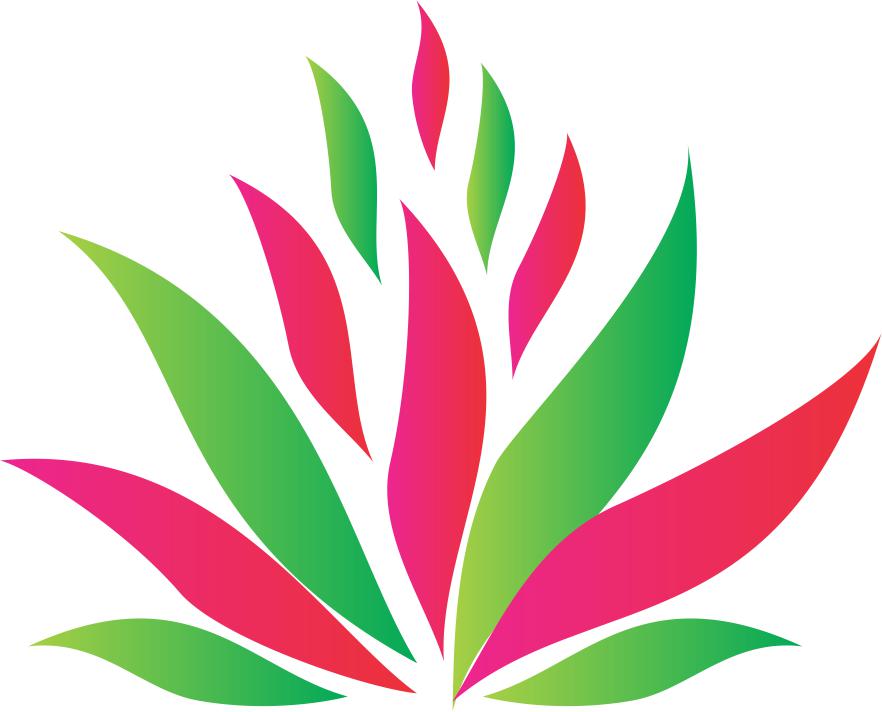 Innovation Skin Clinic & Laser Center