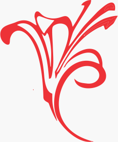 Dr Vandana Punjabi's Clinic