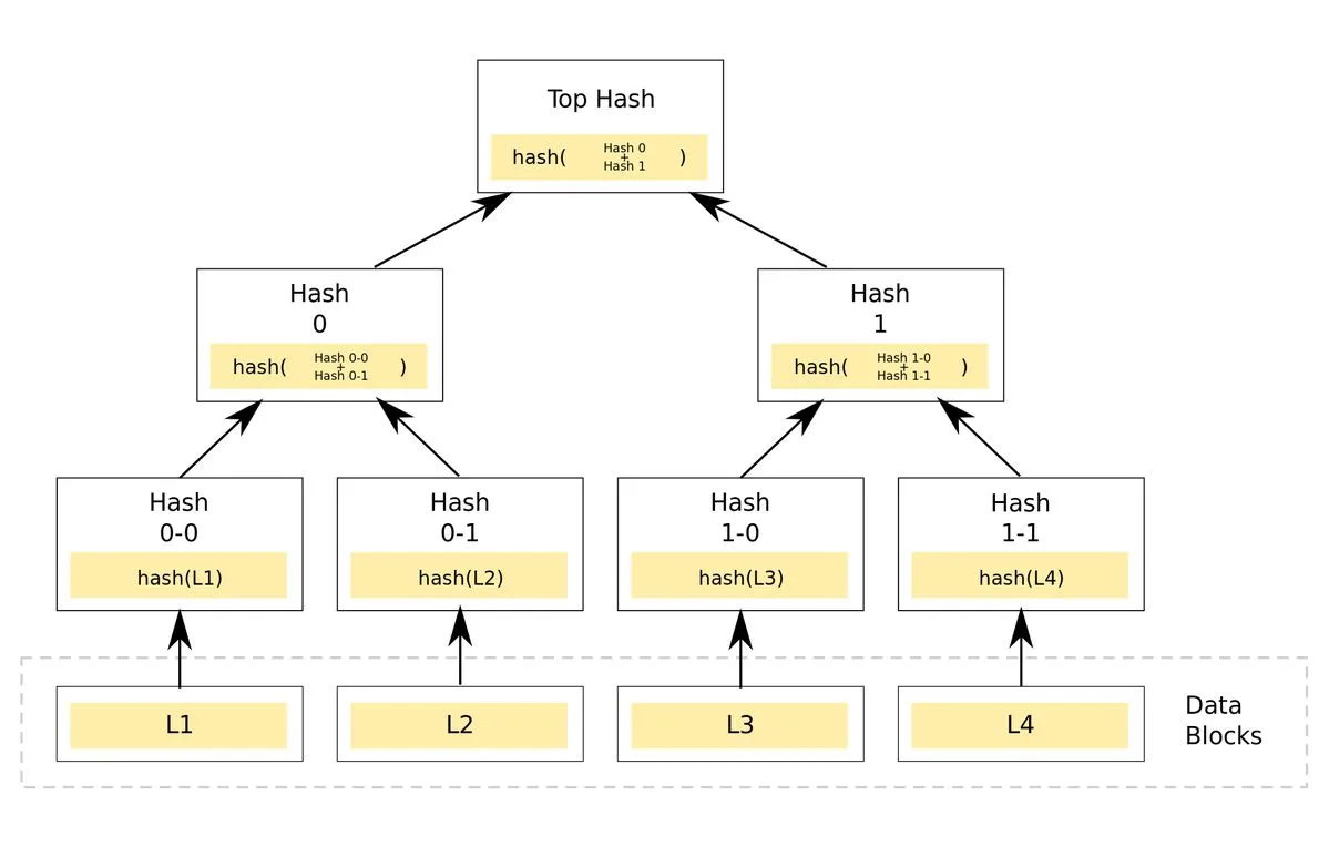 Hình ảnh đại diện của bài viết: Merkle Tree là gì? Vai trò cốt lõi trong bảo mật Blockchain 2026