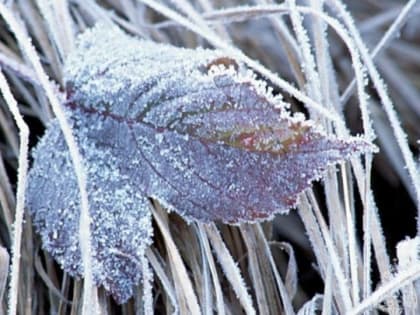 Консультация – предупреждение об интенсивности метеорологических явлений на Территории Республики Татарстан (активная интернет-ссылка на раздел 