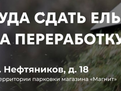 В Альметьевске установили три пункта приема новогодних елей! 