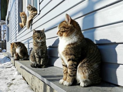 Теплый март: в ближайшие дни в Татарстане температура воздуха значительно превысит норму