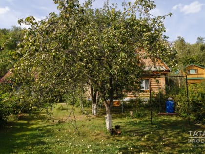 Колонка садовода: как спасти растения в майские холода?