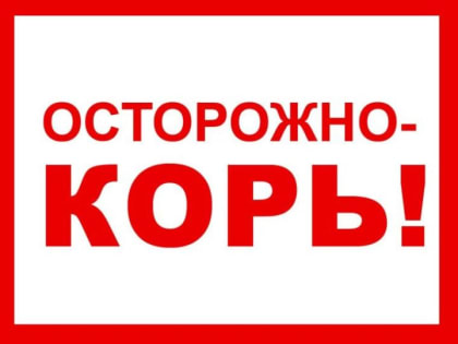 Профилактика кори (памятка для родителей)