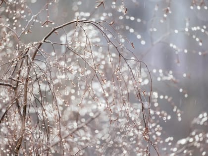 Осадки и сильный ветер накроют Татарстан в конце рабочей недели