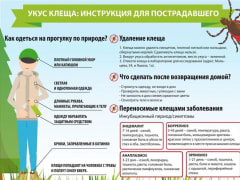 Информация о помощи пострадавшим от укусов клещей в подразделения ГБУЗ ЛО "Кировская КМБ"