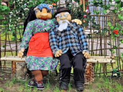 В Выборгском районе можно получить 19 соцуслуг по программе «Заботливый сосед»