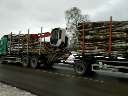 Организатора "лесного пиратства" под Приозерском заключили под стражу