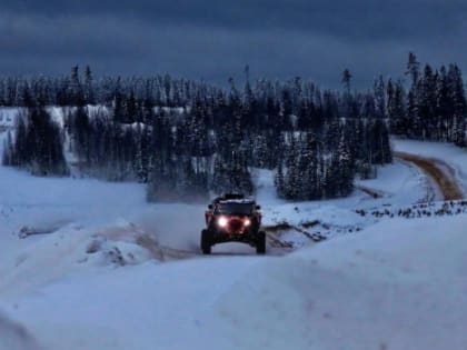 Похолодание до -30 градусов придут в Ленобласть в канун Рождества