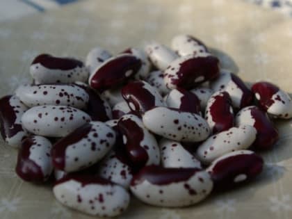 Роспотребнадзор: Выявлены поставщики и производители продукции, ставшей причиной вспышки ботулизма