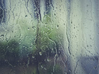 Рабочая неделя в Ленобласти начнется с умеренных дождей и сильного ветра
