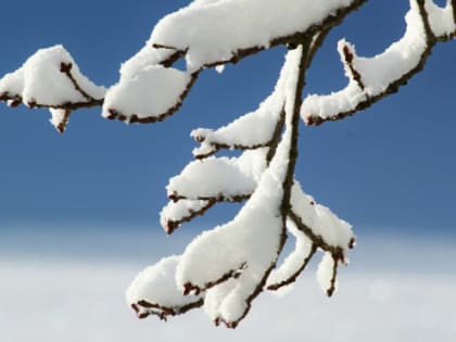 Александр Колесов рассказал о погоде на ближайшие дни в Санкт-Петербурге и Ленобласти