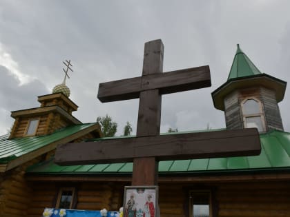 Милосердная защита