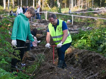 Начальники Ленобласти посетили делянку. Прокурор посадил под сотню (фото)
