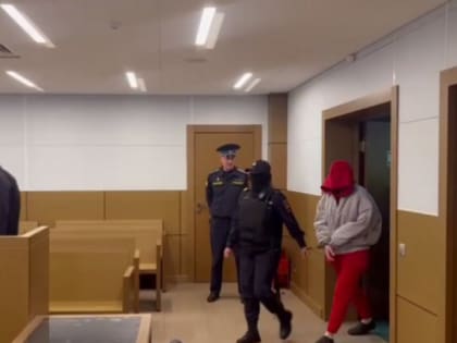 Бастрыкин: Блиновская погасила лишь 10 млн рублей своей налоговой задолженности