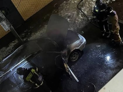 Фото: Огонь уничтожил «Фольксваген» в Тосно