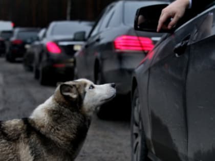 В Ленобласти стало открываться больше вакансий в транспортно-логистической сфере