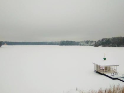 Туман, мокрый снег и ветер до 14 м/c: синоптики рассказали о погоде в Ленобласти 20 января