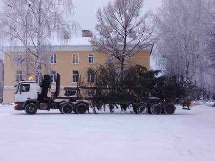 Раз, два, три, елочка... лысая. Когда в Лодейном Поле установят нормальную ель