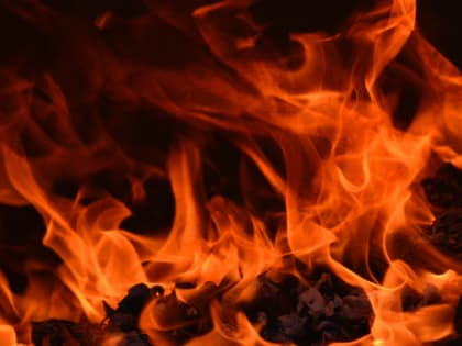 Пламя выжгло 400 «квадратов» сена под Приозерском