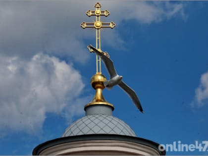 Митрополит РПЦ Антоний впервые в истории выступил на заседании Совбеза ООН по ситуации на Украине