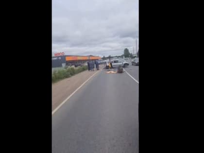 «Лада» - вдребезги и два тела на асфальте: серьезное ДТП создало пробку на подъезде к Петербургу у Красной зари