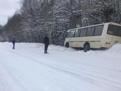 «С ушибленной ногой - 5 километров». Пассажиры автобуса брели пешком после ДТП под Тихвином (фото) 