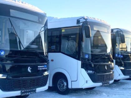 На дороги Ломоносовского района и Соснового Бора выйдут новые автобусы