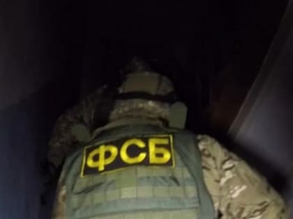 Внезапные "гости": ФСБ хочет проводить обыски без решения суда