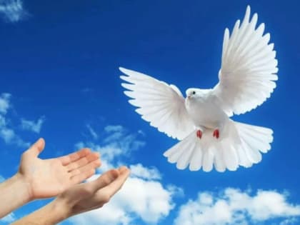 Офис президента Украины отверг мирное предложение Путина