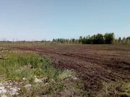 Мелиорация помогла вернуть ленинградским землям сельскохозяйственную ценность