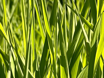 Эконадзор повышает уровень самоконтроля природопользователей