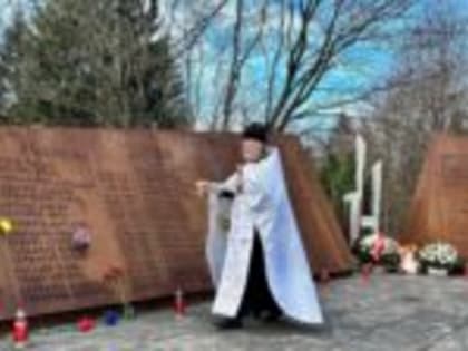 Понимание комплексных кадастровых работ