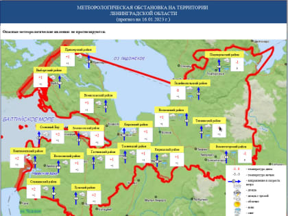 МЧС предупредило о сильном ветре и осадках в Ленобласти 16 января