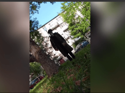 После прогулки в противогазе с ружьем в Гатчине возбуждено уголовное дело. Ряженого отправили в камеру