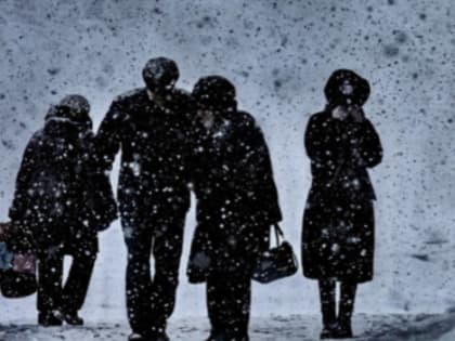 В ночь на понедельник температура воздуха в Ленобласти опустится до -5 градусов