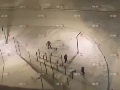 В Мурино посетитель автомойки набросился на сотрудника с ледорубом