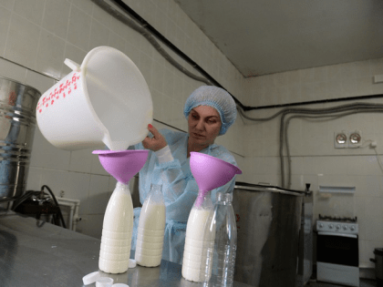 Ленобласть увеличивает господдержку фермерства