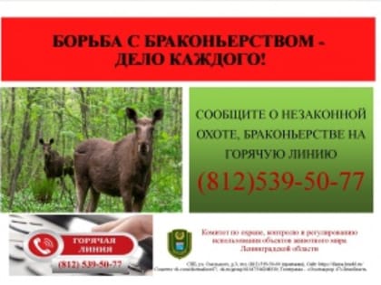 Горячая линия по борьбе с браконьерством на территории Ленинградской области