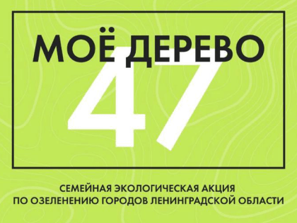 «Моё Дерево47»: Ленобласть высаживает деревья