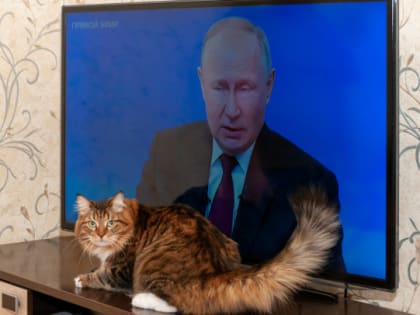 Такого не было. Регионы начали пересматривать позицию о запрете на аборты