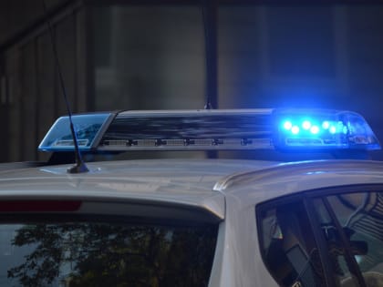 В Гатчинском районе водитель Мерседеса насмерть сбил пешехода