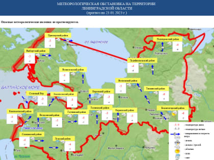 МЧС Ленобласти предупредило о тумане и морозах до -10 градусов 23 января
